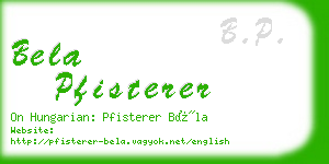 bela pfisterer business card